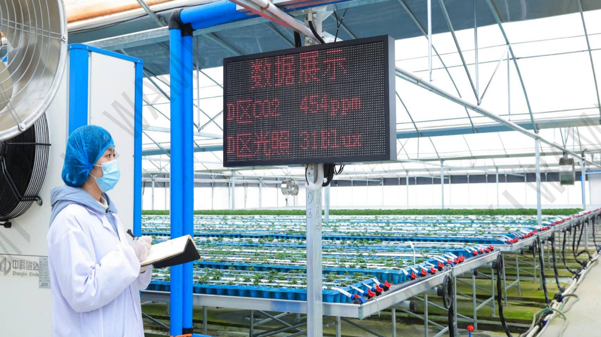 Environment monitoring dashboard